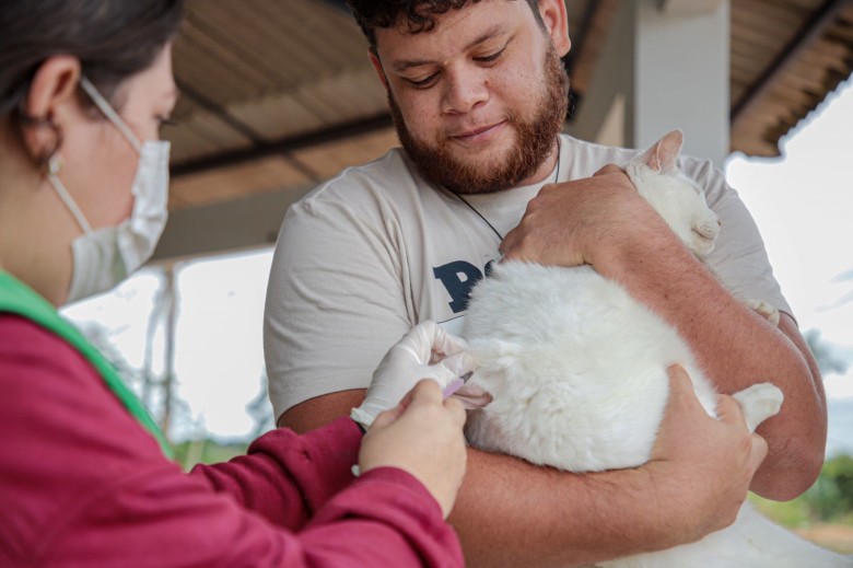 Mais de 42 mil cães e gatos foram vacinados contra a raiva em 2023