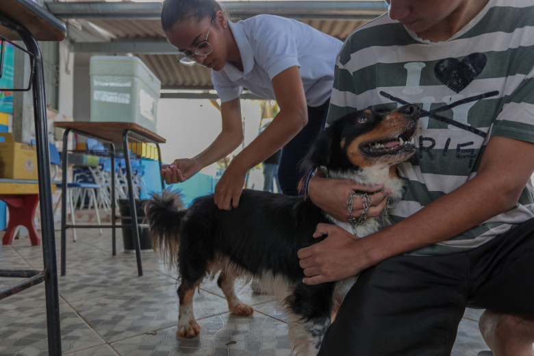 Vacina contra a raiva para cães e gatos continua disponível em Porto Velho