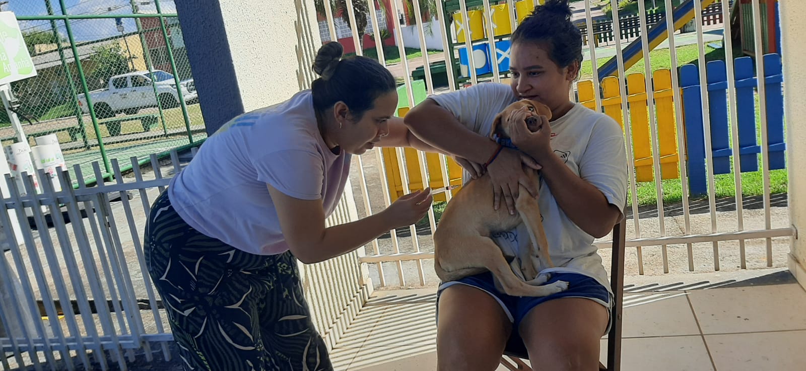 Foram seis dias de atuação por parte dos servidores da Semusa