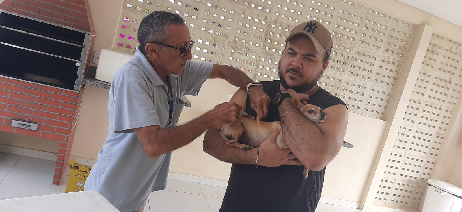 Vacinação antirrábica é a forma mais segura e eficaz de combater a doença