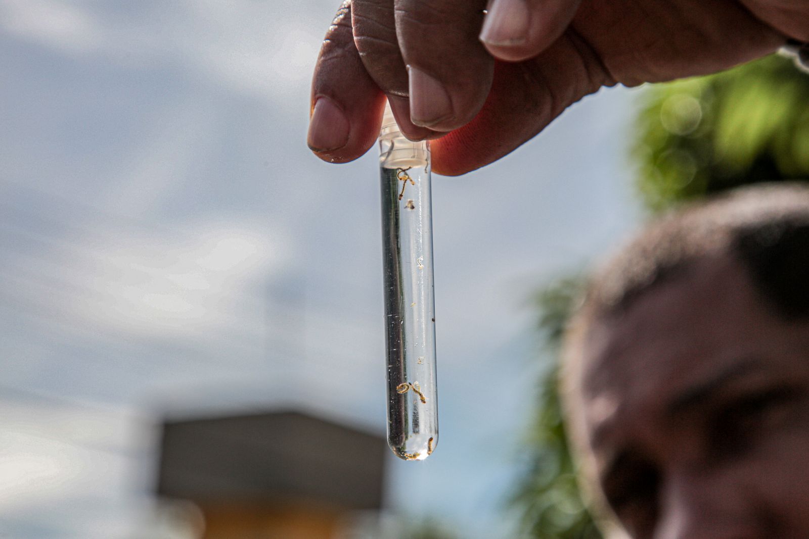 Escolha do bairro se deu pelo grande número de casos de dengue registrados