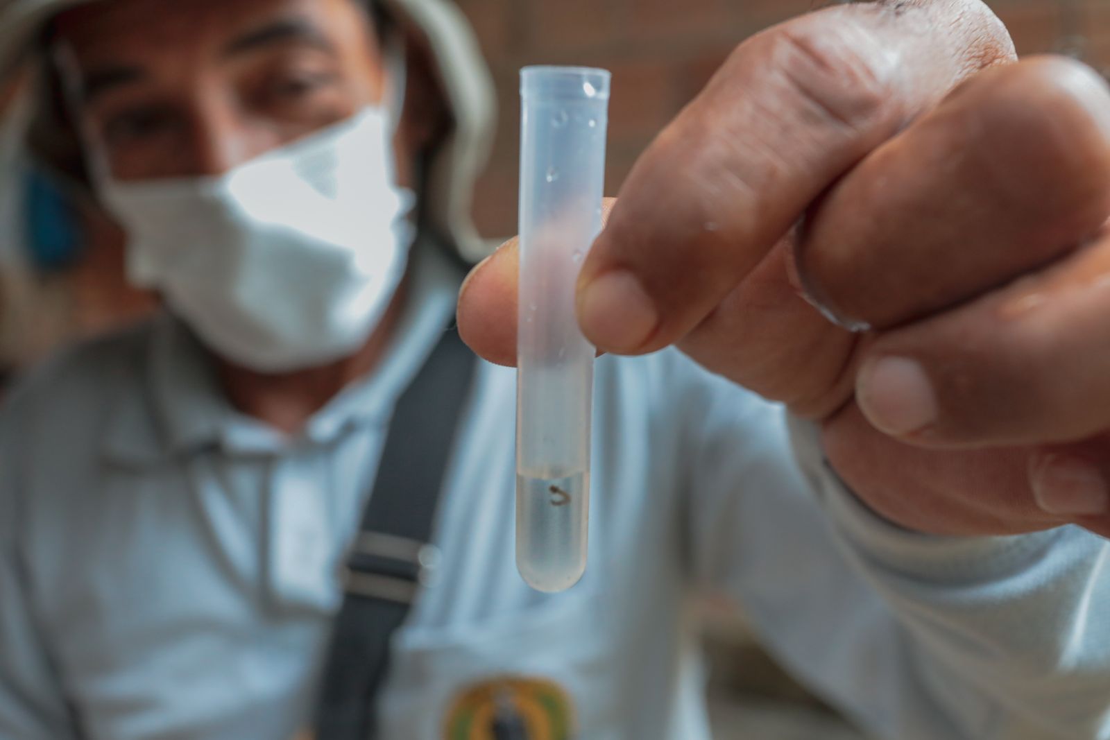 LIRAa é realizado bimestralmente para identificar os focos com a coleta de larvas