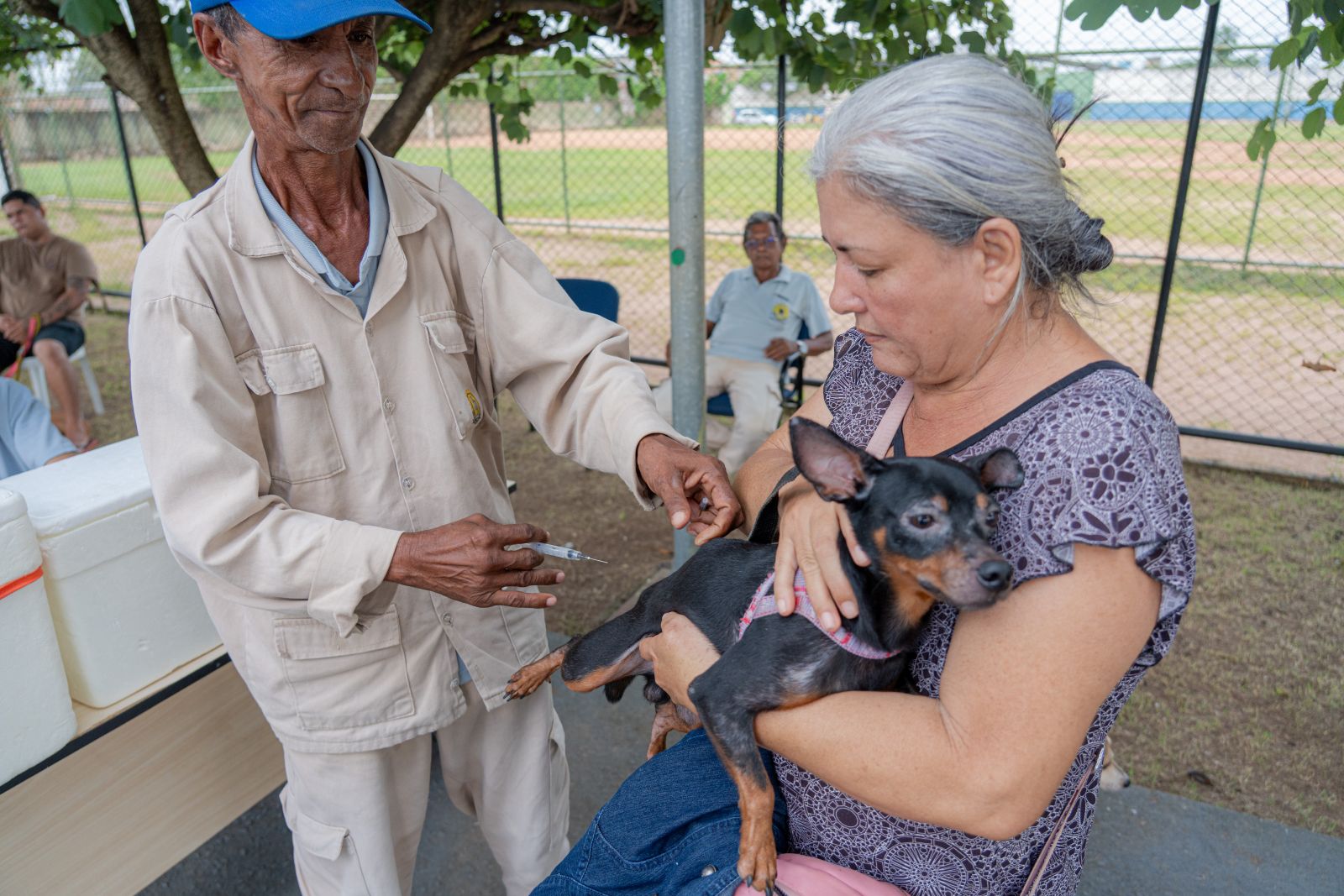 Castra+Rondônia faz parte do Programa Nacional de Manejo Populacional Ético de Cães e Gatos