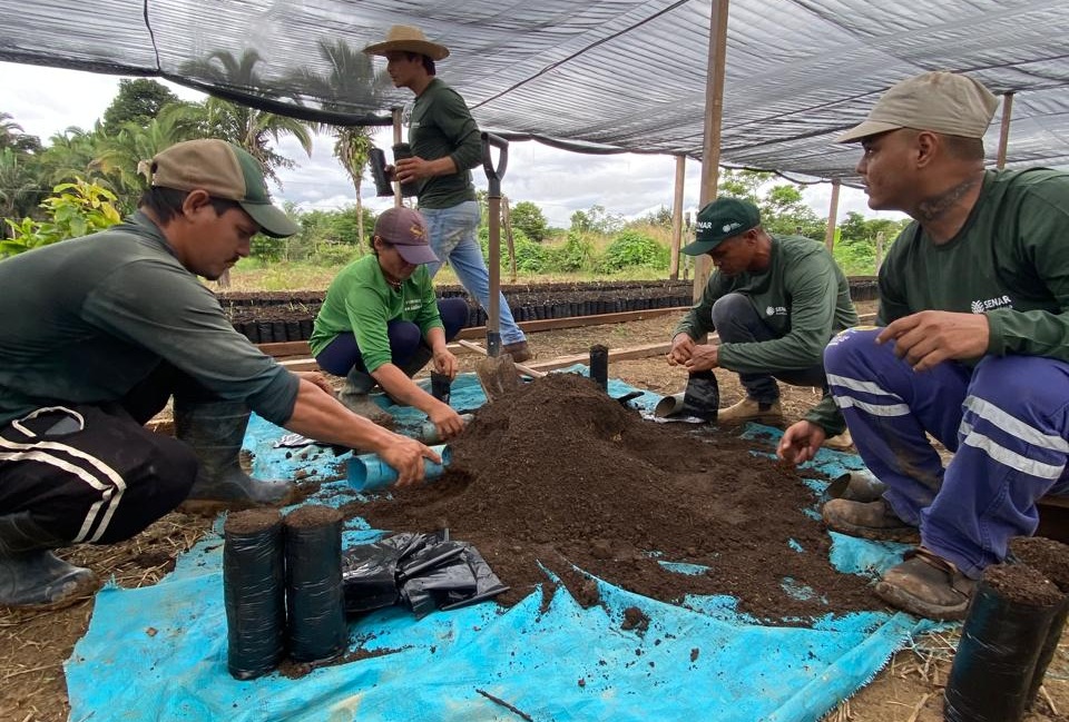 A iniciativa tem como foco a produção de mudas de qualidade