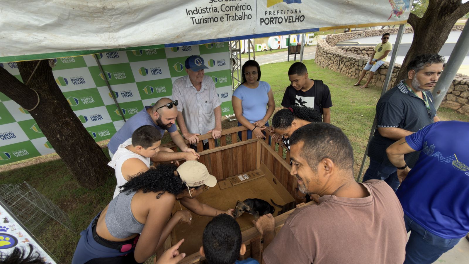 Os cães e gatos disponibilizados para adoção são oriundos das ações desenvolvidas pelo Executivo municipal