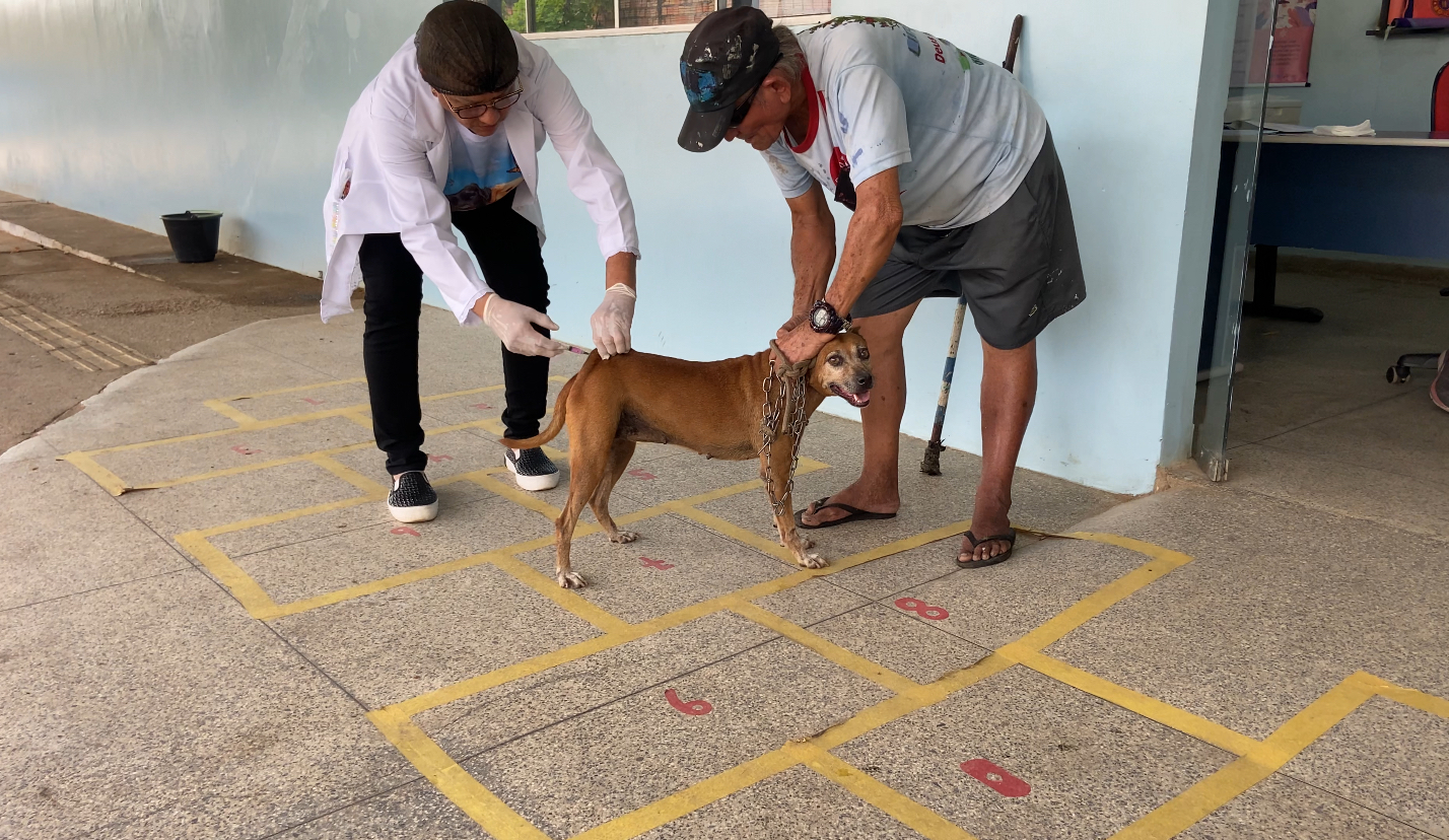 Quem não possui o cartão de vacinação do animal pode obter um novo no próprio local