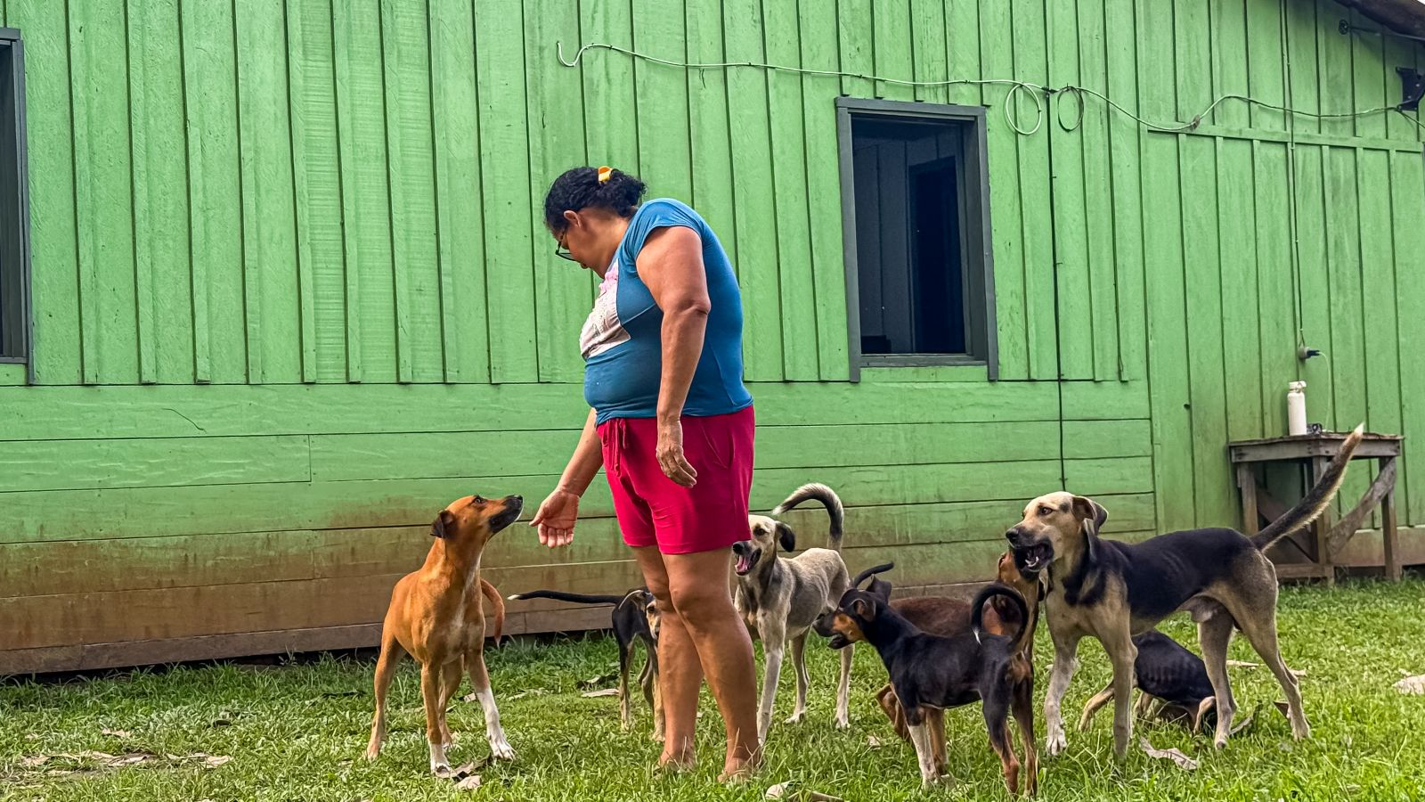 Receptividade da comunidade chamou atenção da equipe