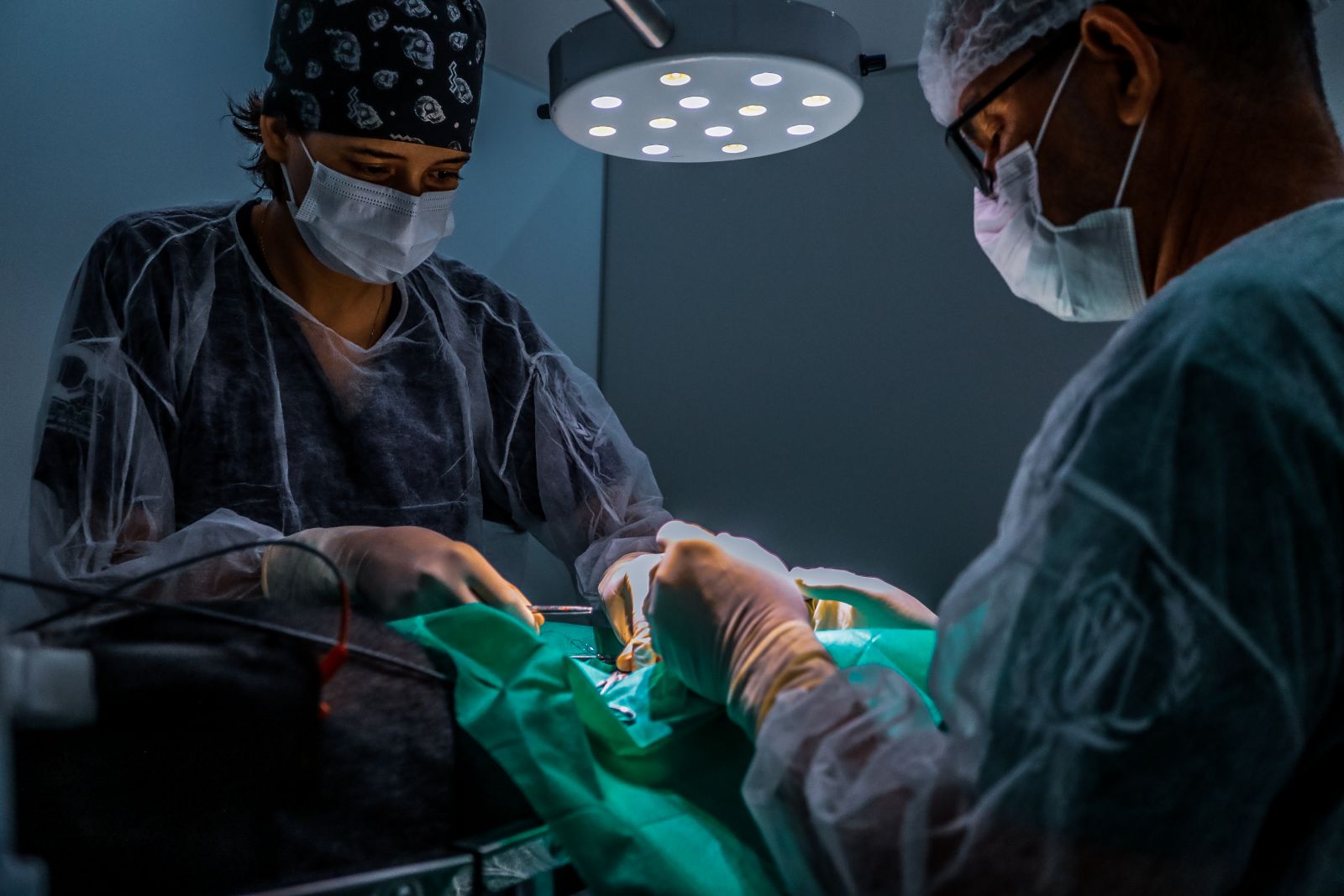 Programa visa qualificar jovens médicos-veterinários por meio de formação teórico-prática 