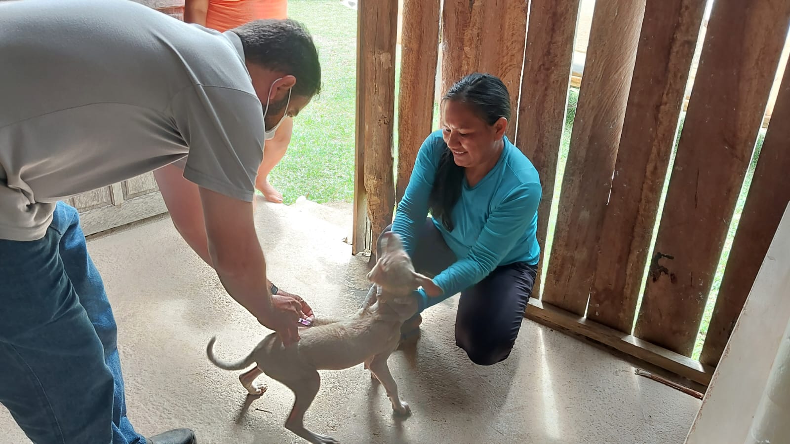 Ao todo, 111 animais, entre cães e gatos, foram vacinados nas aldeias 