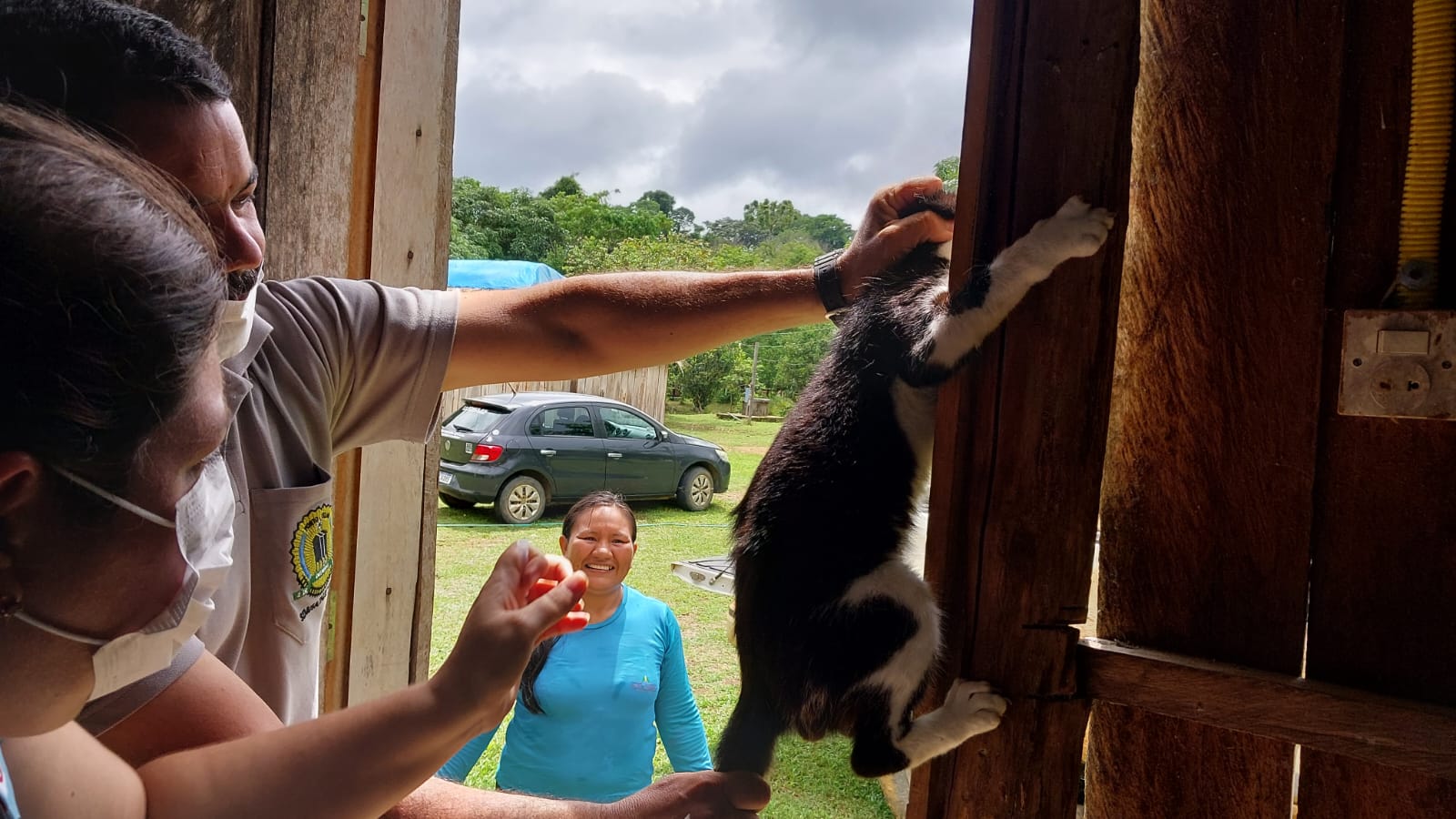 Tanto cães quanto gatos receberam o imunizante