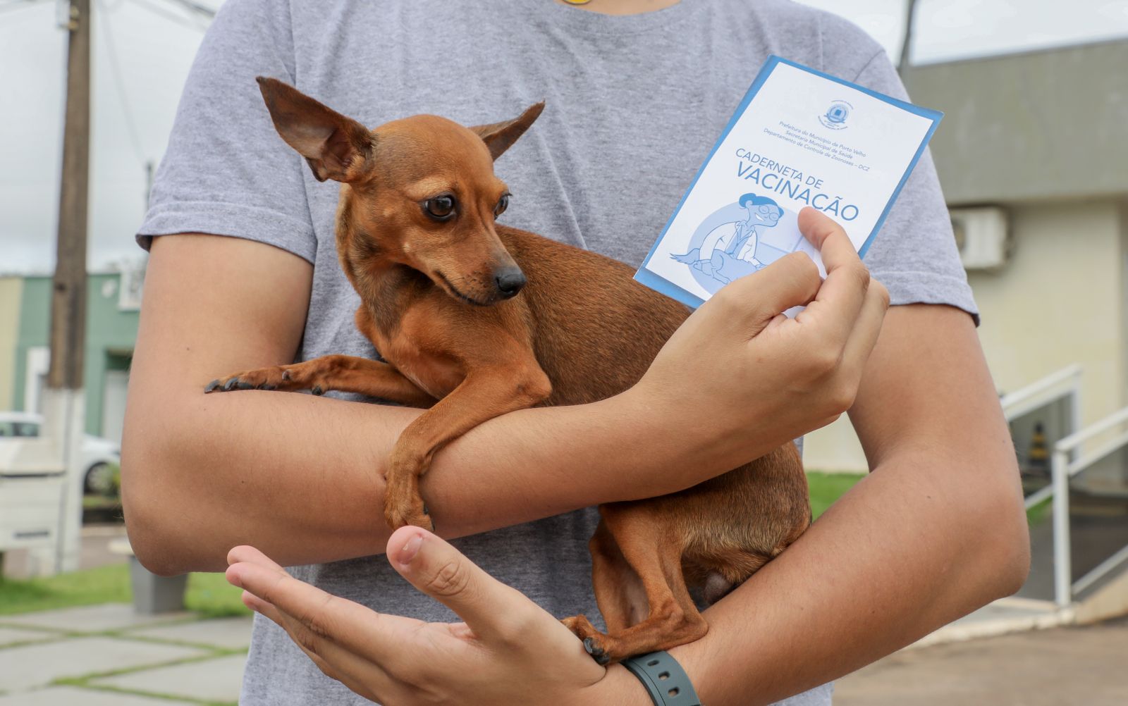 Também é ofertada a vacinação no trailer de vacinação no Parque Circuito