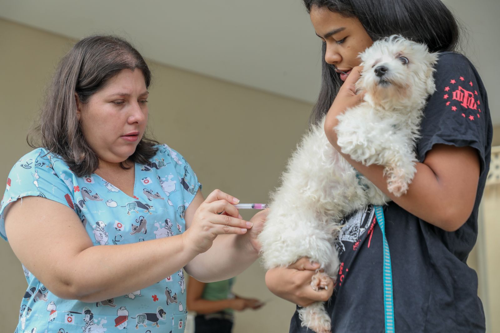 Quem possui mais de dez animais e ainda não os vacinou este ano, pode agendar