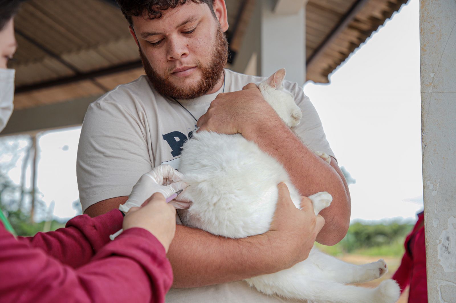Em Porto Velho, a vacinação antirrábica é ofertada diariamente e de forma gratuita