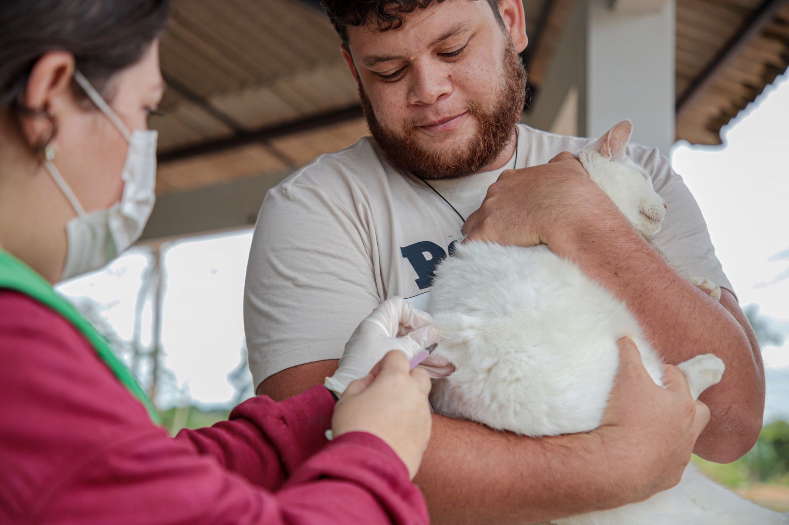 Os animais devem estar sadios e precisam ter mais de três meses de vida para serem vacinados