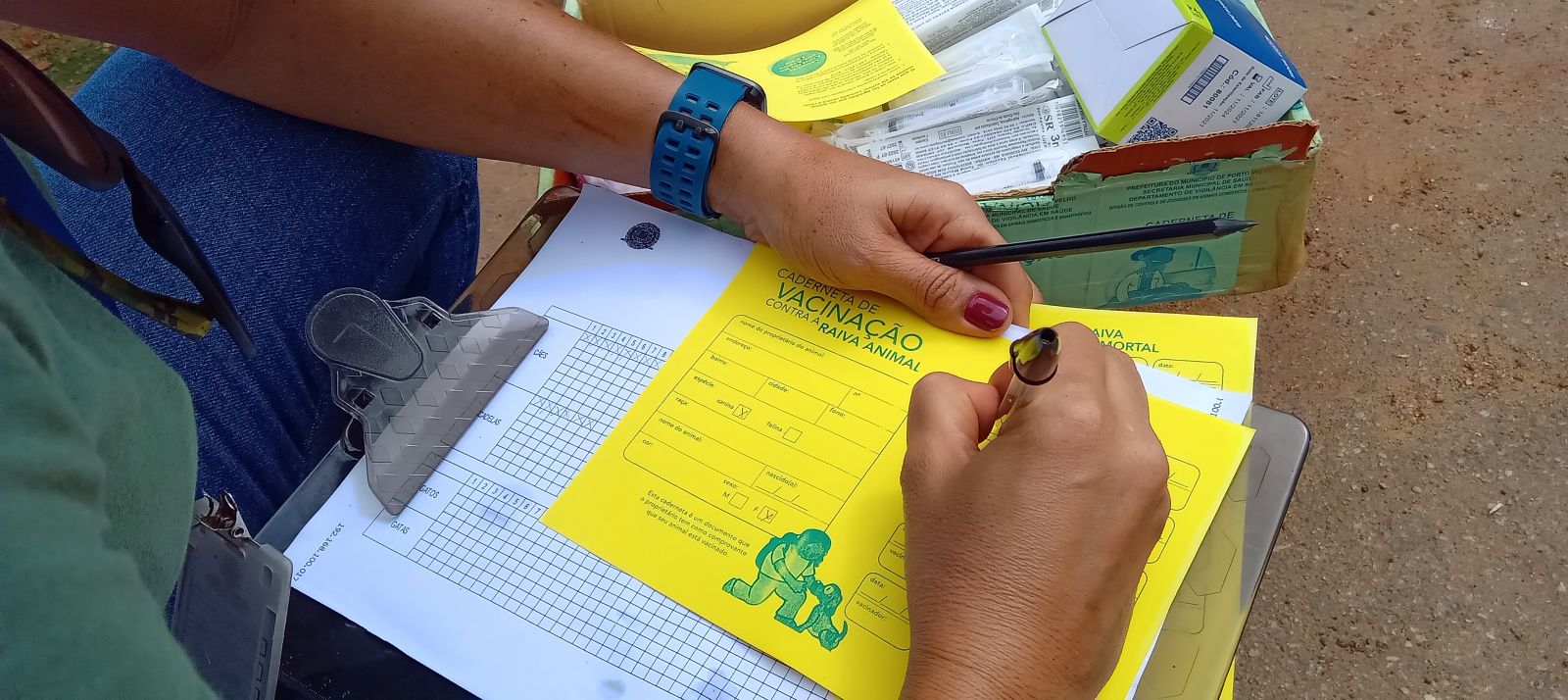 A imunização deve ser feita anualmente
